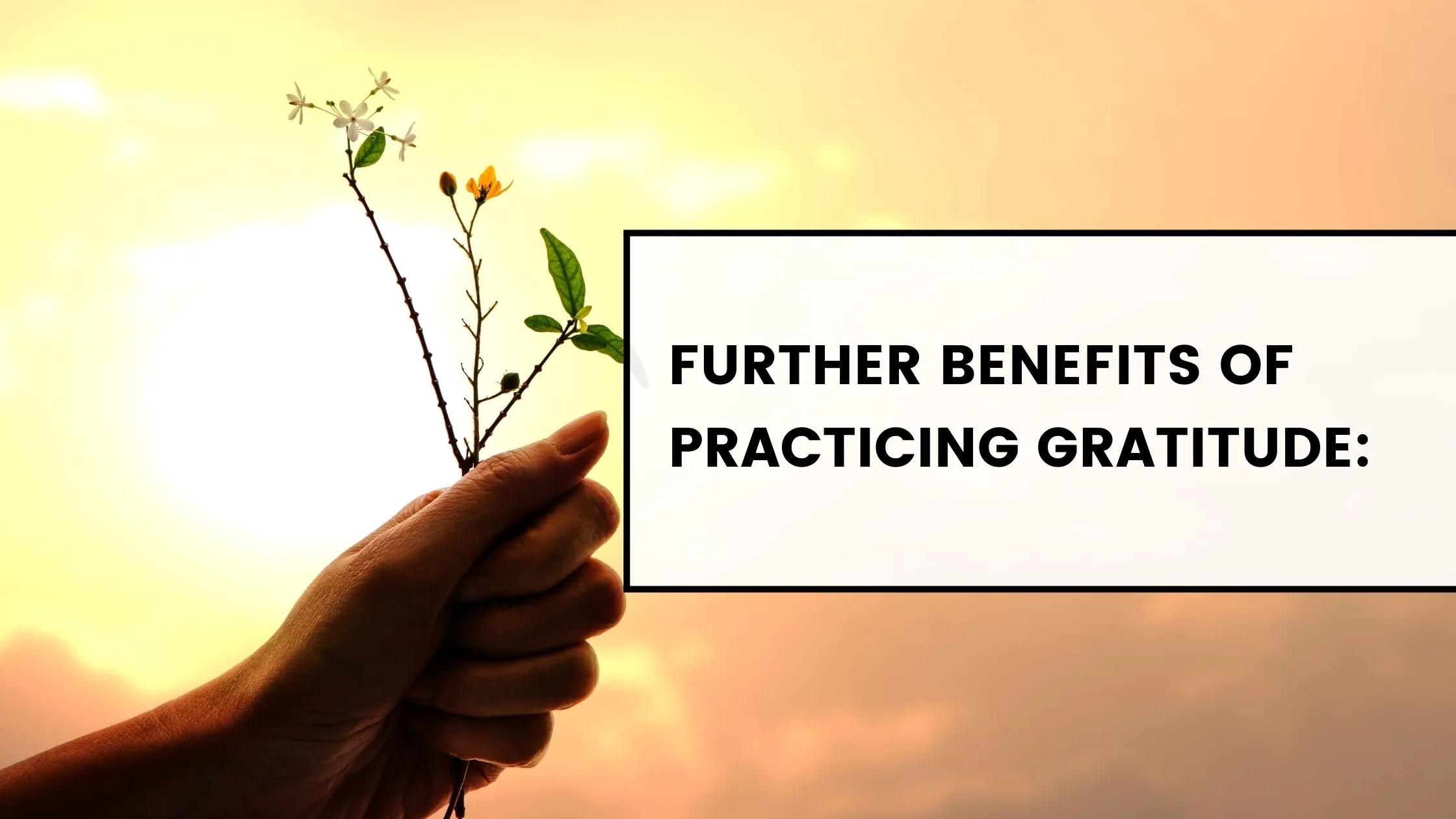 Was sind die Vorteile von Dankbarkeit?