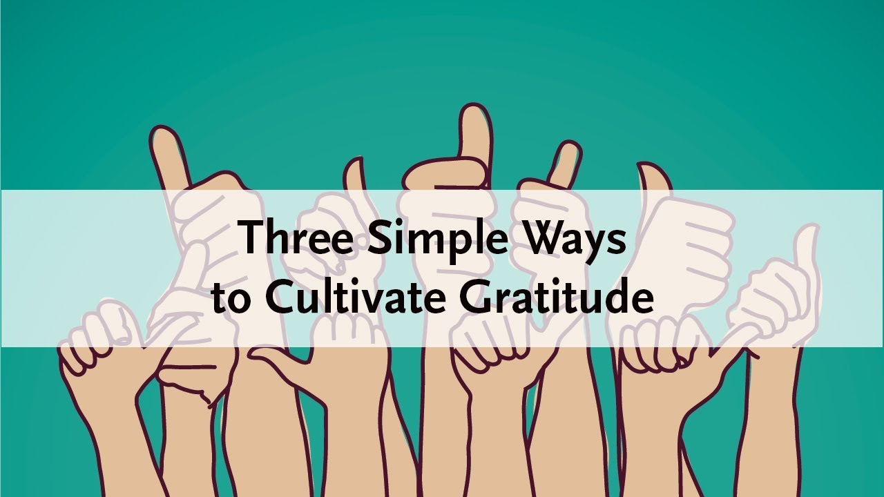 Wie man Wertschätzung kultiviert